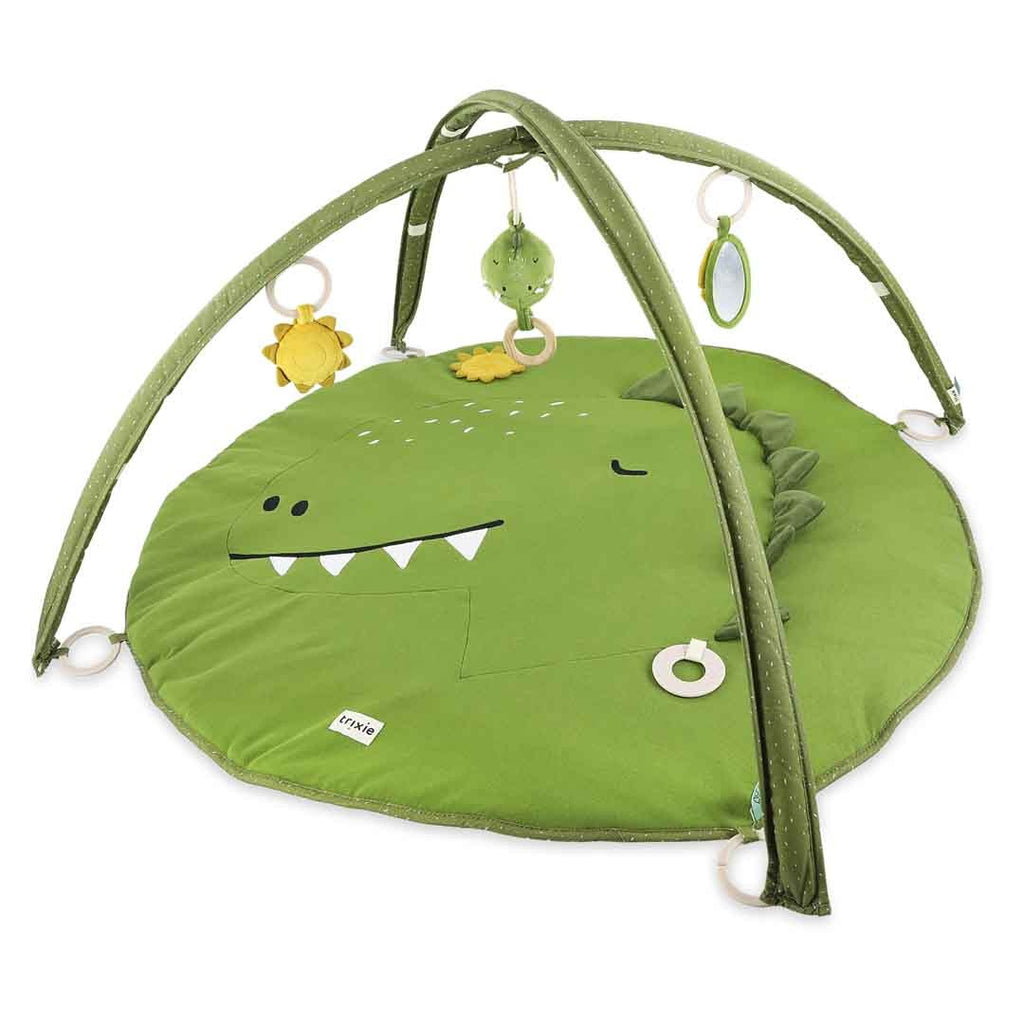 Activity Play Mat with Arches - Mr Dino