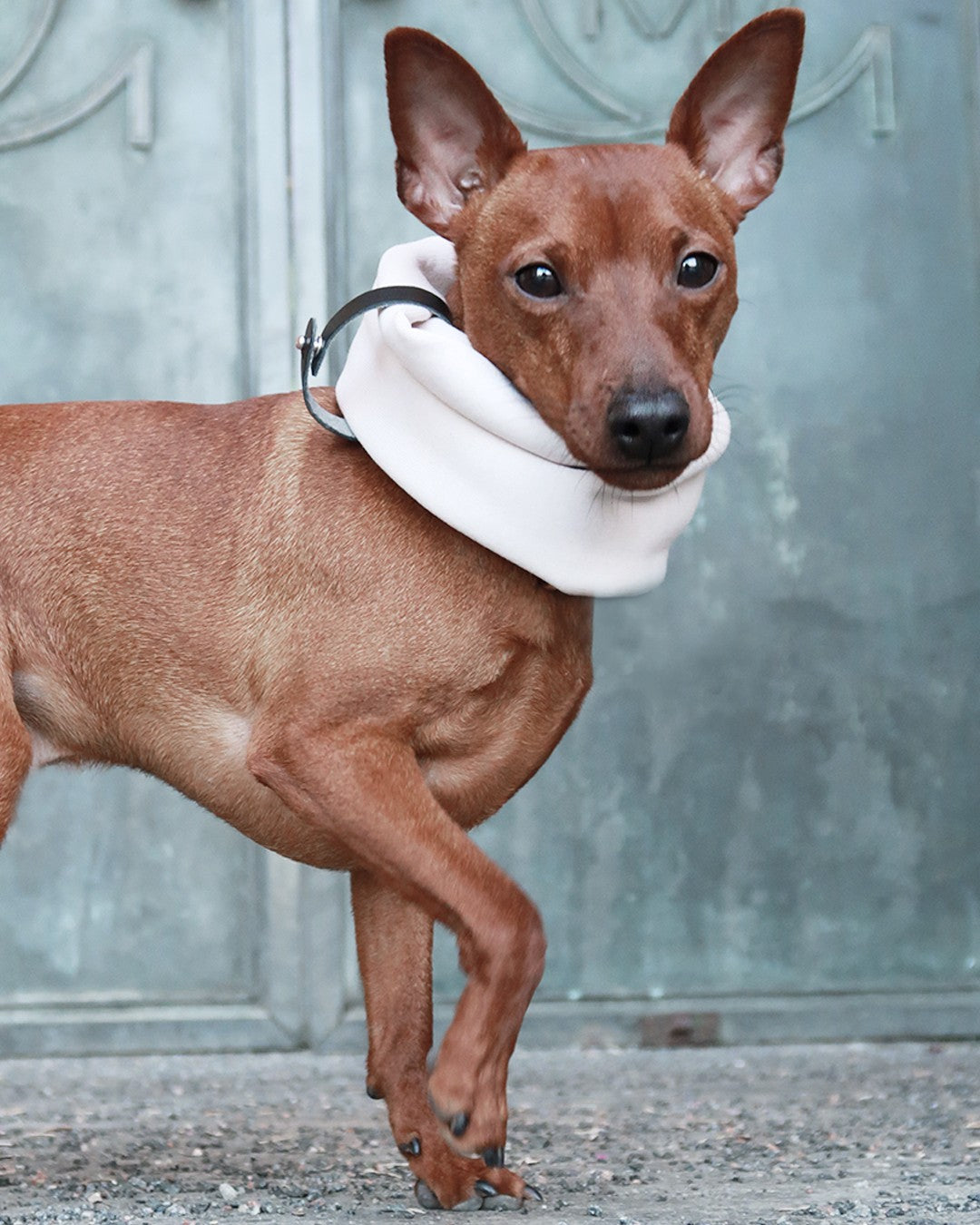 Inko Neck Warmer - White Sand 