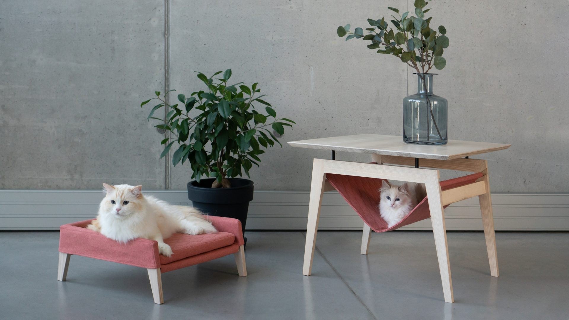 Kikko Table & Lulu Bed for Cat - Raspberry 