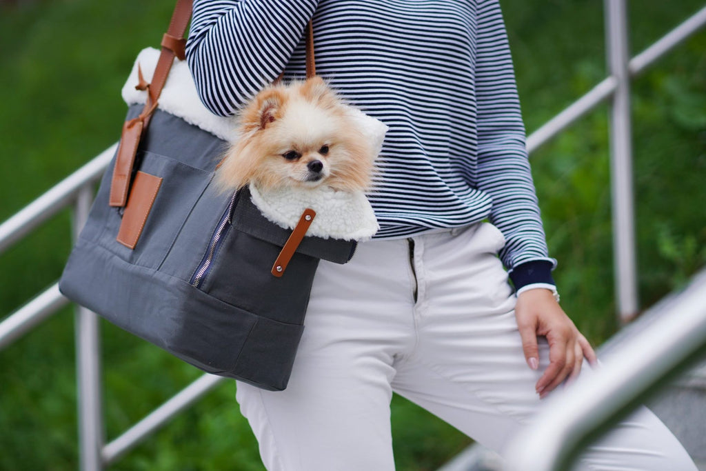 Liiva Dog Carrier & Personal Bag - Grey 