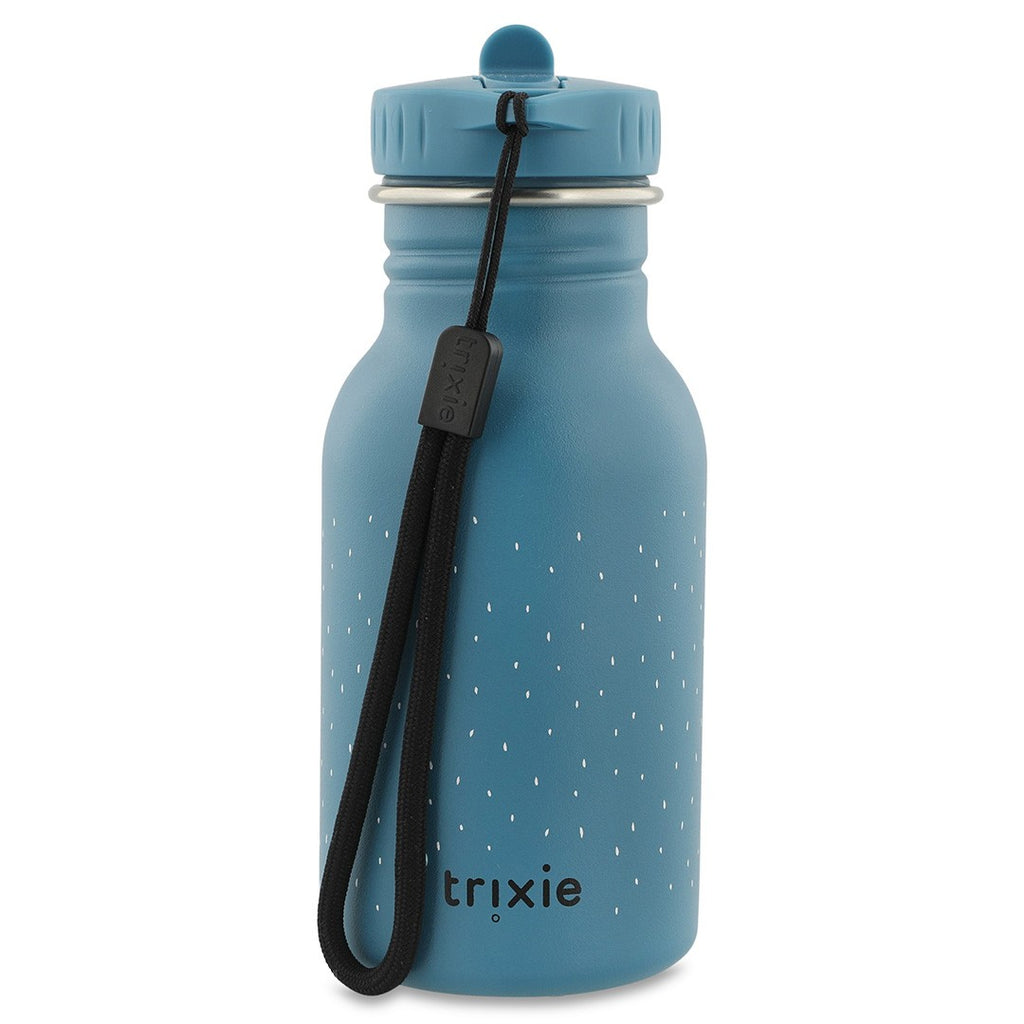 Stainless Steel Bottle 350 ml - Mr. Triceratops