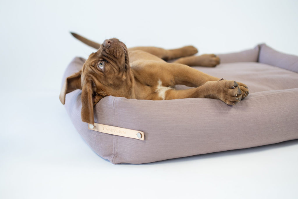 Stokke Dog Bed - Pink 
