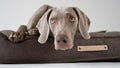 Töve Cushion - Brown 